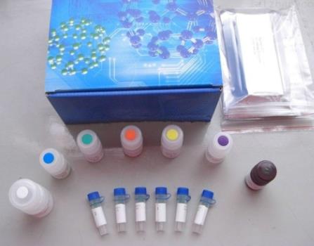 马隐秘杆菌PCR试剂盒.png