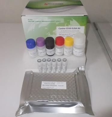 泰勒氏菌通用PCR试剂盒.png