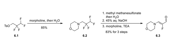 Synthesis of α-Fluoro-β-(dialkylamino)acrylaldehyde Intermediate 6.3