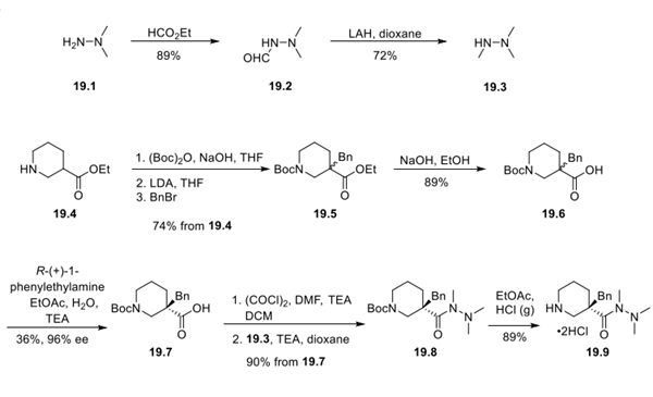 Synthesis of Intermediates 19.3 and 19.9