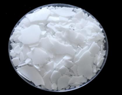 3-十五烷基苯酚的提取分离与应用