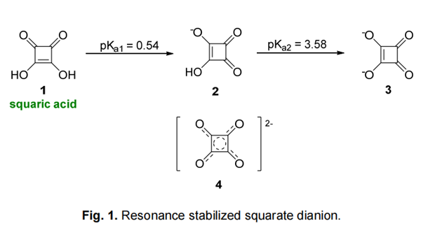  Resonance stabilized squarate dianion.