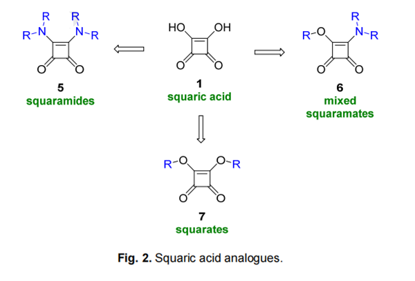Squaric acid analogues