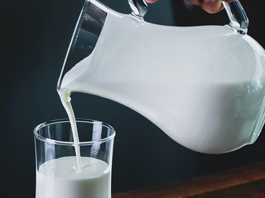 乳铁蛋白存在于母乳和动物乳汁中