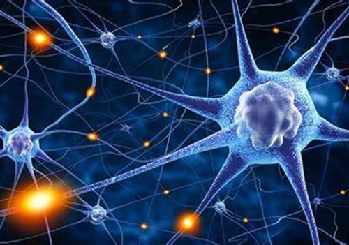 胞磷胆碱对脑神经的益处