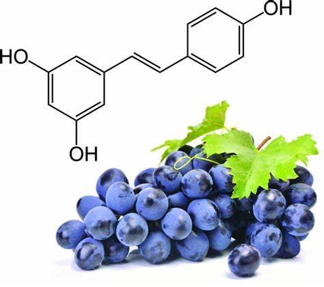 Resveratrol Resveratrol