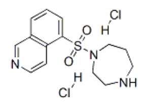 Fig. 1 Characteristics of Fasudil Hydrochloride