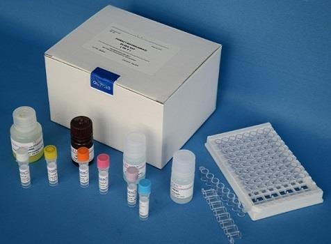 人γ肽(Pγ)Elisa试剂盒的应用