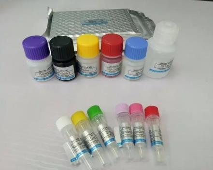 大鼠胰淀素(Amylin)Elisa试剂盒的应用