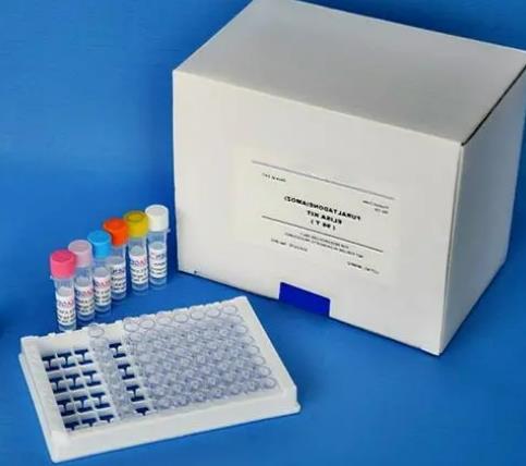 人白介素2受体(IL-2R)ELISA KIT.png