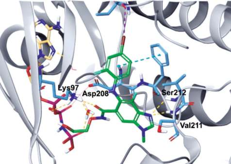 Figure 1. Co-crystal structure of binimetinib and AMP-PNP with BRAF–MEK1 (PDB ID: 7M0U). Figure 1. Co-crystal structure of binimetinib and AMP-PNP with BRAF–MEK1 (PDB ID: 7M0U).