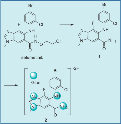 Figure 5. Major metabolic pathway of selumetinib in  humans.