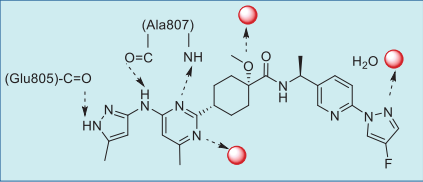 Figure 2. Summary of pralsetinib–RET interactions based on the co-crystal structure. Figure 2. Summary of pralsetinib–RET interactions based on the co-crystal structure.