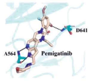 Figure 3. Co-crystal structure of pemigatinib–FGFR1.