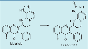 Figure 7. Metabolic pathway of idelalisib in humans. Figure 7. Metabolic pathway of idelalisib in humans.