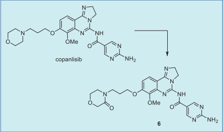Metabolic pathway of copanlisib in humans.