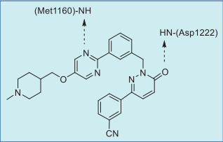 Figure 2. Key interactions of tepotinib–MET.