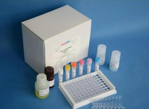 人淋巴毒素α(LTA)Elisa试剂盒的应用