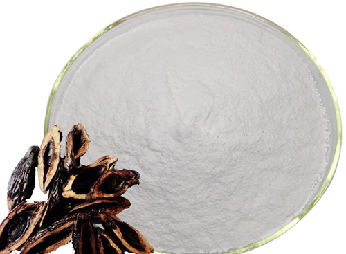 Areca nut extract Areca nut extract