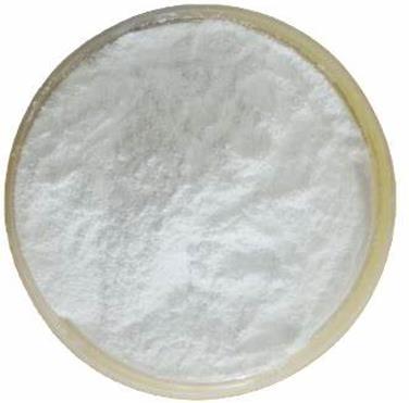 (+)生物素-N-琥珀酰亚胺基酯的生理作用与生物应用