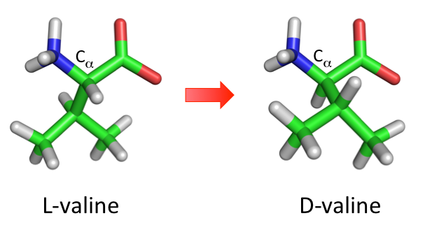 The mirror image of L-valine and D-valine The mirror image of L-valine and D-valine