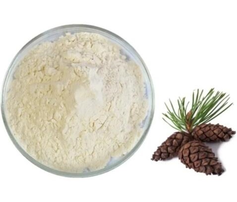 Douglas Fir Extract Douglas Fir Extract