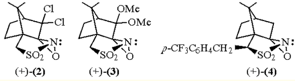 (1S)-( )-(Camphorylsulfonyl)oxaziridine (1S)-( )-(Camphorylsulfonyl)oxaziridine