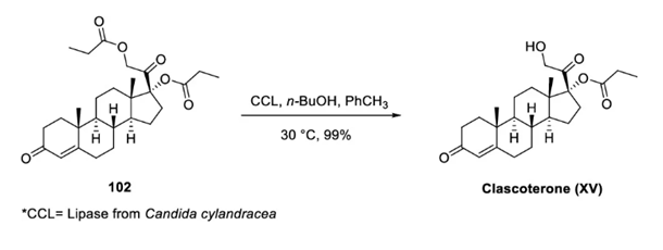 Clascoterone synthesis route