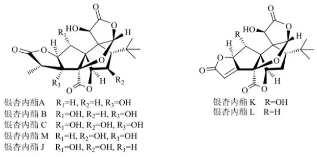 银杏内酯的化学结构 银杏内酯的化学结构