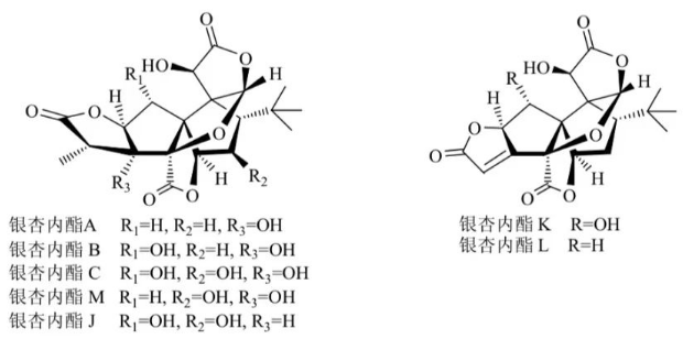 银杏内酯化合物 银杏内酯化合物