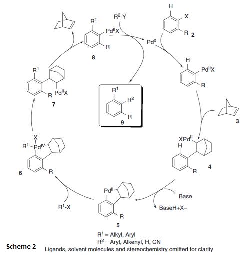 Scheme 2 Generalized reaction mechanism of the Catellani reaction