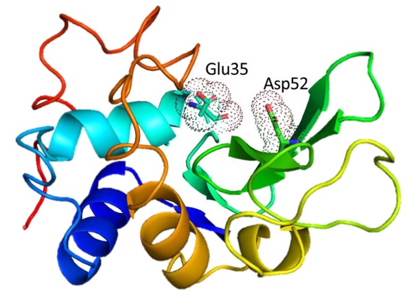 3D model of lysozyme