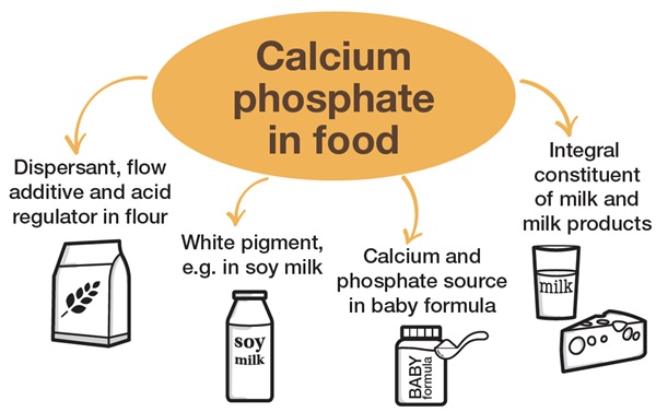 Calcium Phosphate Sources Calcium Phosphate Sources