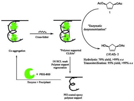顺-4-环戊烯-1,3-二醇双乙酸钠的酶催化去对称化.png 顺-4-环戊烯-1,3-二醇双乙酸钠的酶催化去对称化.png