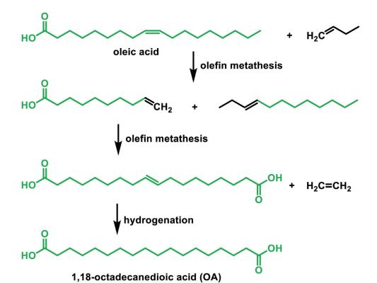 Scheme 1. Synthesis of OA from oleic acid via olefin metathesis.png Scheme 1. Synthesis of OA from oleic acid via olefin metathesis.png