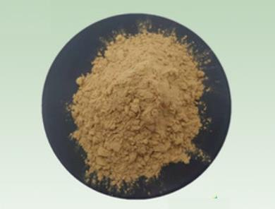 五味子乙素药理作用及制备