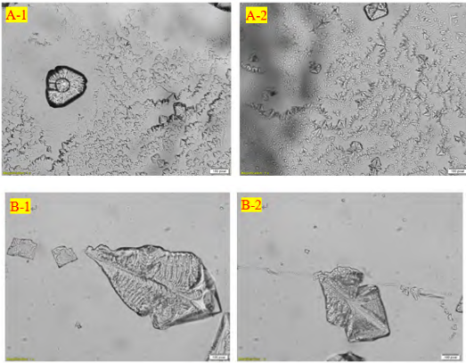 图2.A-1，A-2 快速蒸发法；B-1，B-2 缓慢蒸发法的氯化钠晶型