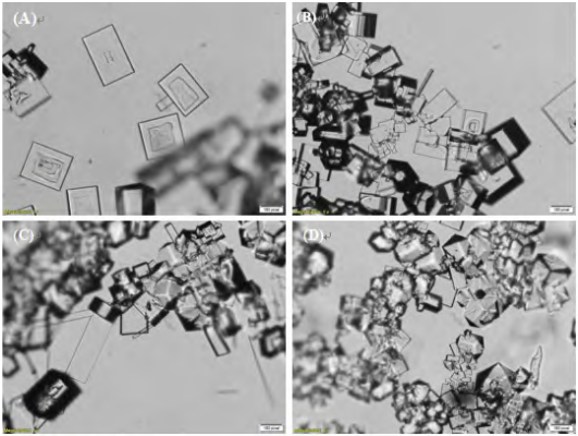 图3.单一添加柠檬酸三铵制备得到的氯化钠晶体