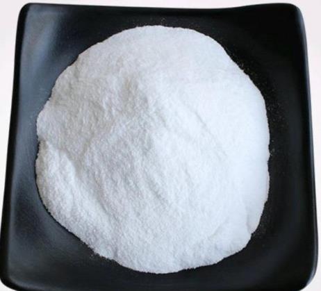 茴香霉素的作用研究