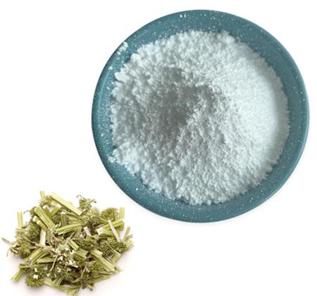 盐酸水苏碱药理作用及应用