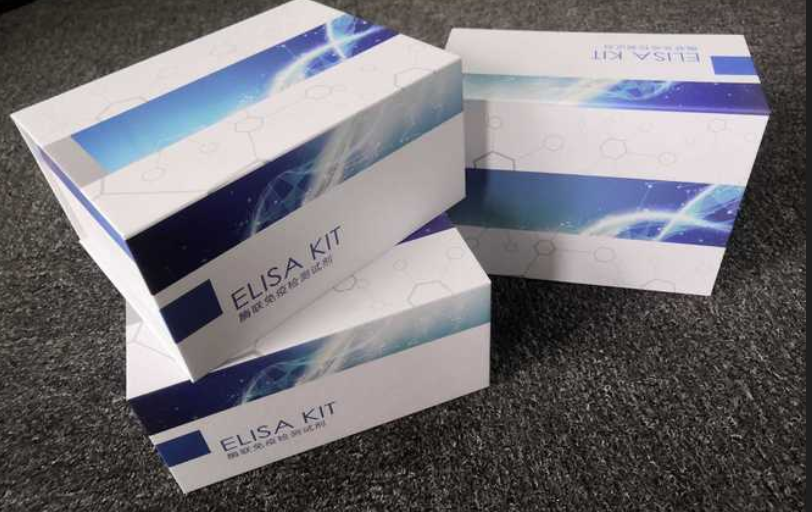 QQ图片20251016162509.png QQ图片20251016162509.png