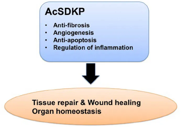 AcSDKP2.jpg AcSDKP2.jpg