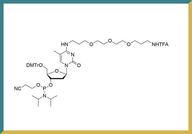 新研博美Amino Modifier TEG mdC Amidite (5'-DMT-mdC(TEG-Amino-TFA)).jpg 新研博美Amino Modifier TEG mdC Amidite (5'-DMT-mdC(TEG-Amino-TFA)).jpg