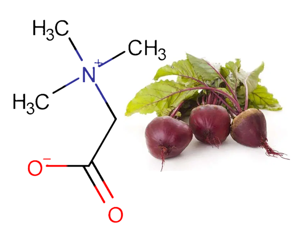 甜菜碱