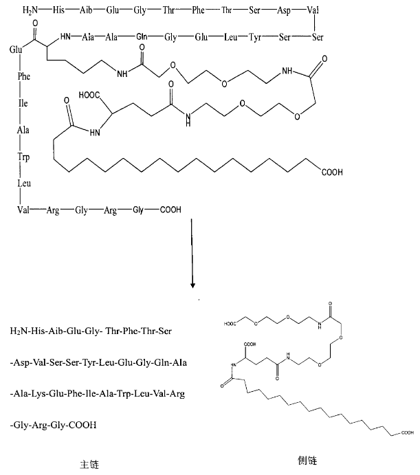 索马鲁肽结构分解图