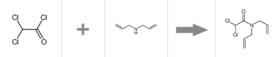 图2 二氯丙烯胺合成反应式.png