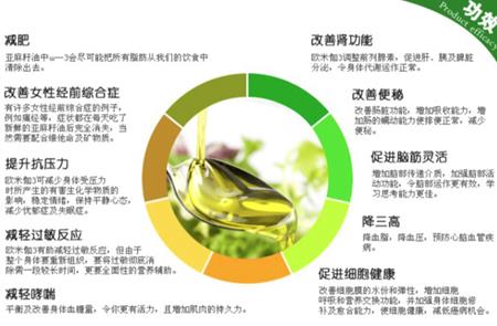 图2亚麻籽提取物功效示意图.png 图2亚麻籽提取物功效示意图.png