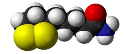 (+/-)-alpha-硫辛酰胺的合成工艺与活性研究