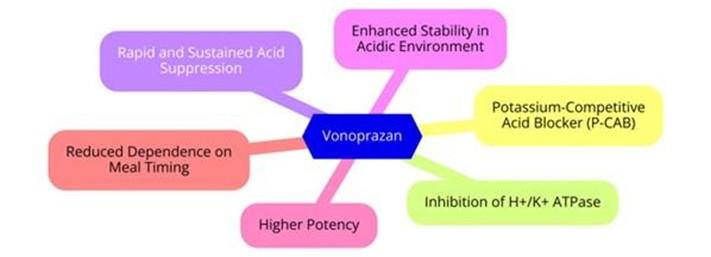 The mechanism of action of vonoprazan
