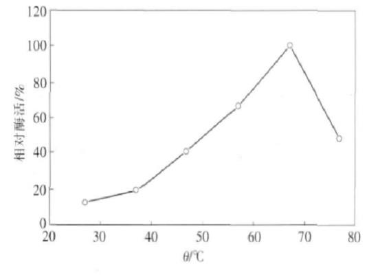 温度对固定化细胞酶活的影响.png 温度对固定化细胞酶活的影响.png